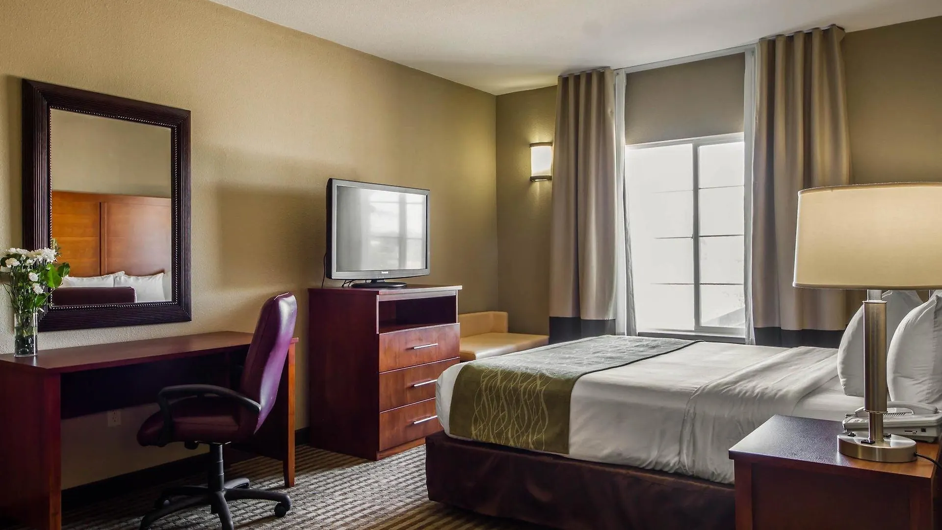 Comfort Inn & Suites Sacramento - University Area